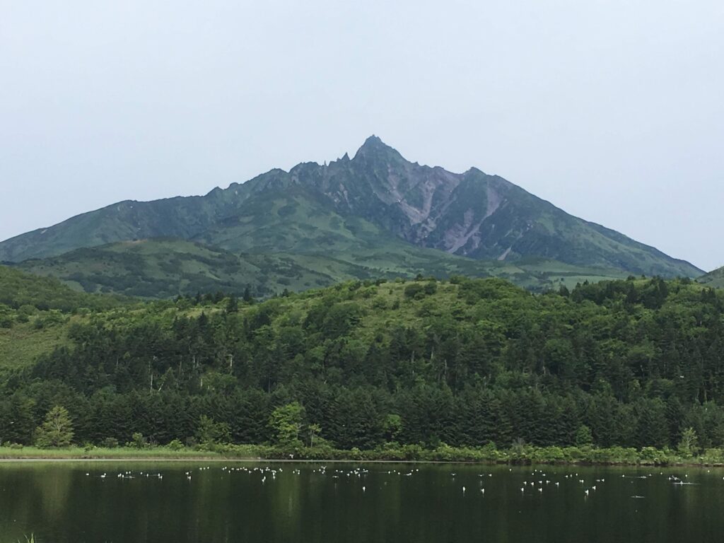 利尻島　利尻富士
