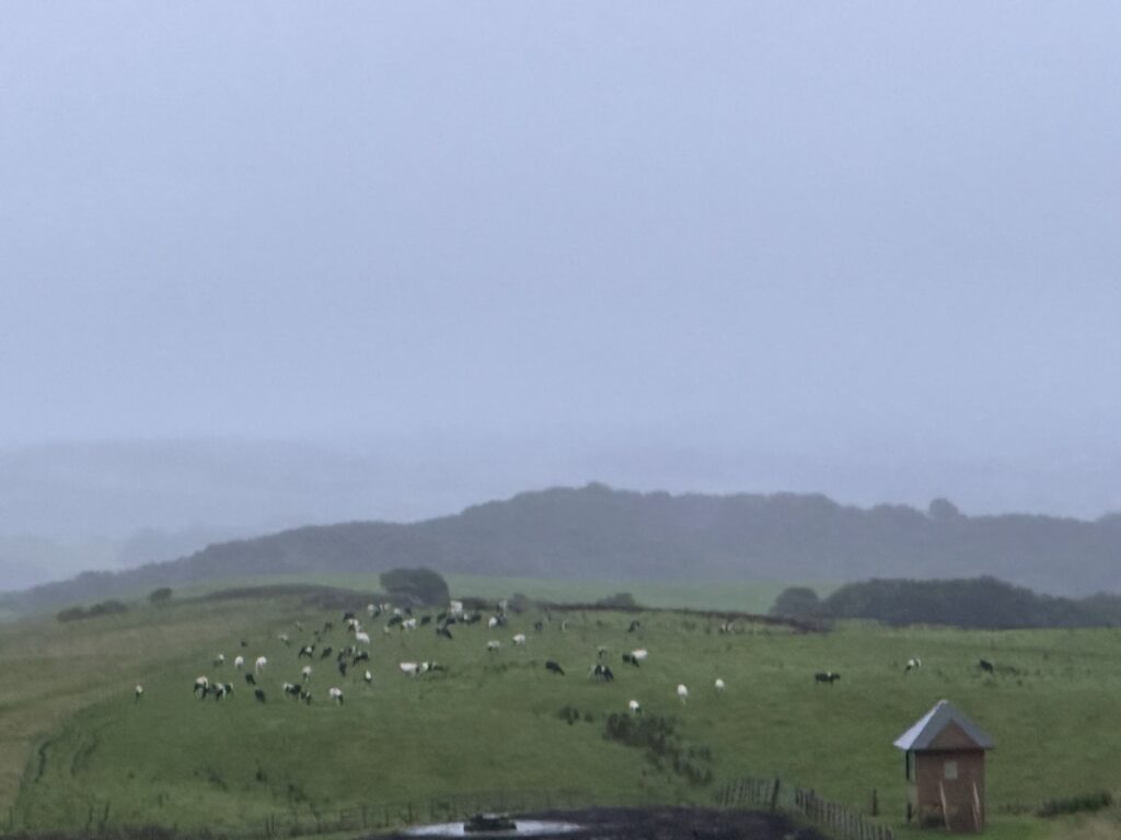 雨の多和平
